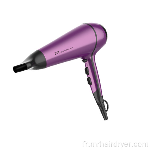 Nouveau sèche-cheveux puissant professionnel 2100W